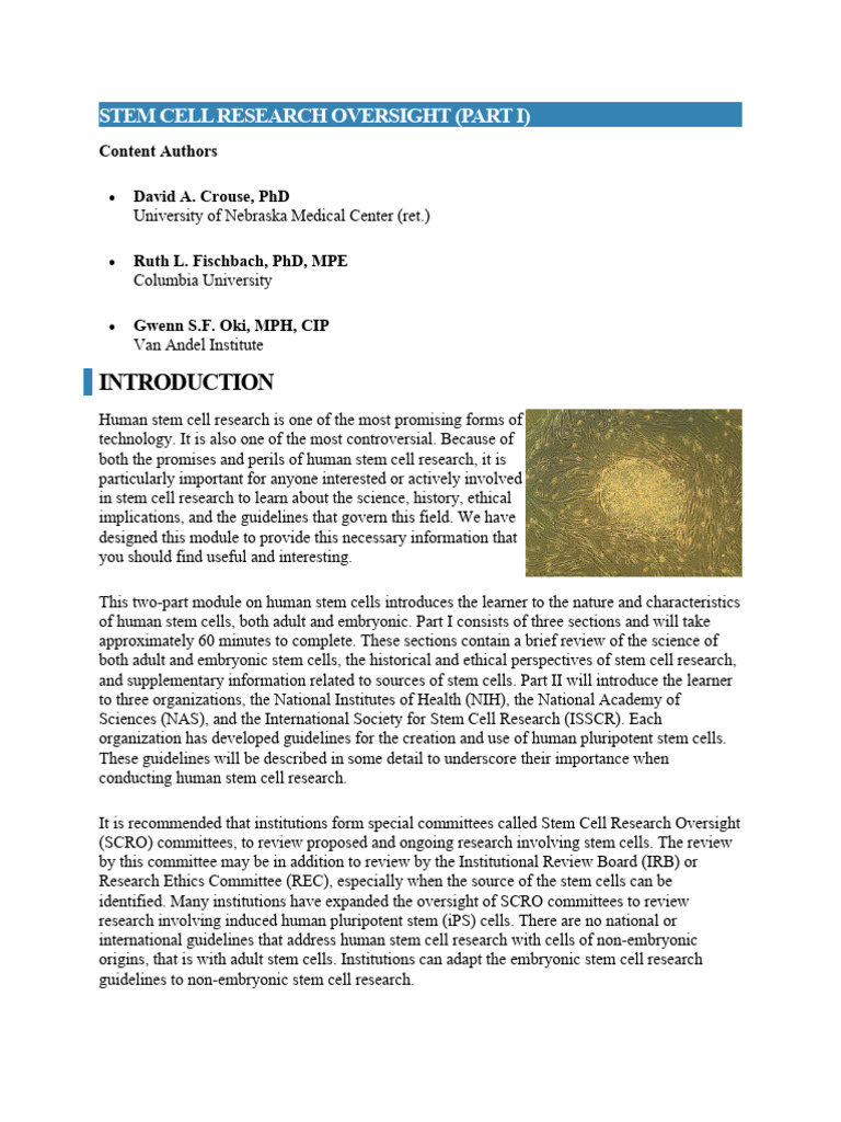 Sources of Adult Stem Cells Explained | PDF | Embryonic Stem Cell ...