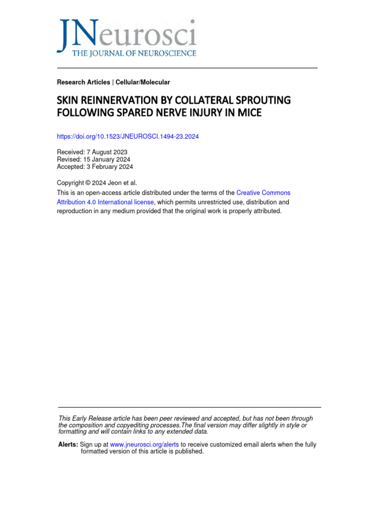Skin Reinnervation by Collateral Sprouting Following Spared Nerve ...