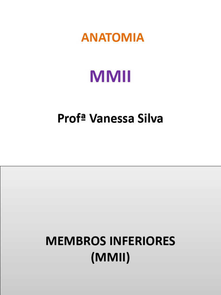 ANATOMIA MMII Atual | PDF | Quadril | Pélvis