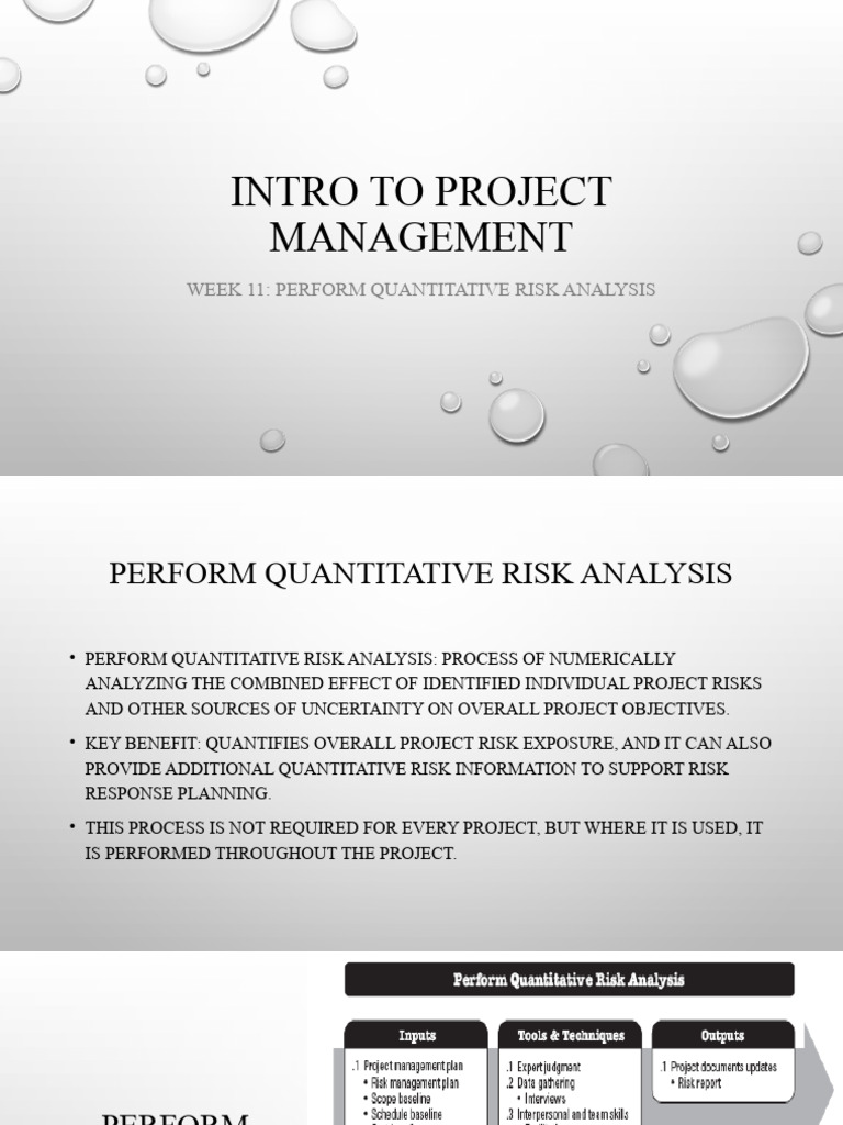Quantitative Risk Analysis in Projects | PDF | Risk | Risk Management