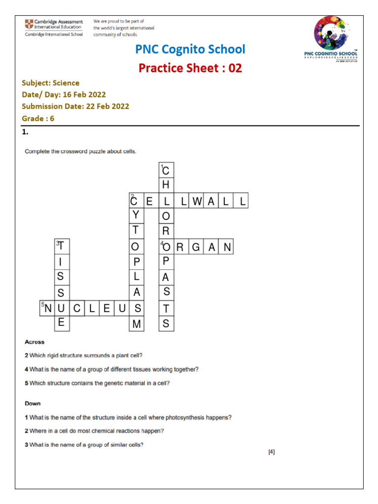 Grade 6 Practice Sheet02 Pdf