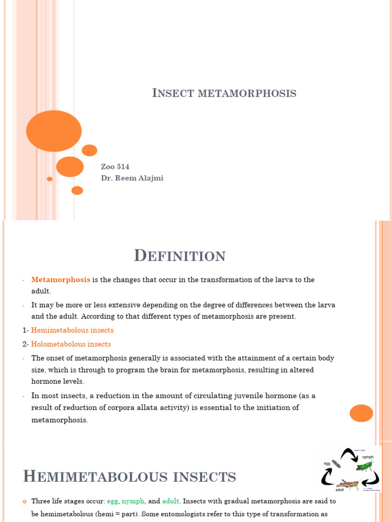 Insect Metamorphosis Explained | PDF | Pupa | Insects