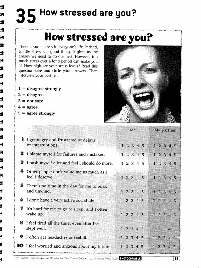 How Stressed Are You | PDF