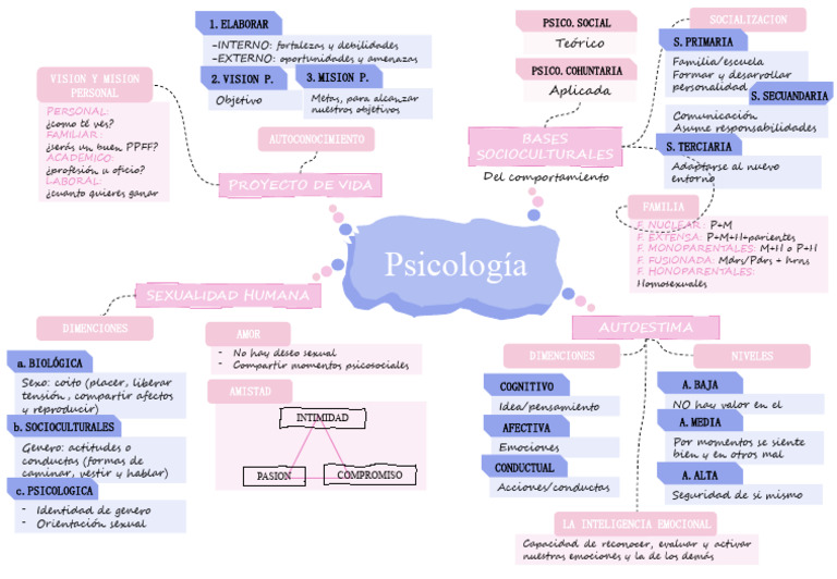 Psicología: Autoestima y Proyecto de Vida | PDF | Las emociones | Sicología