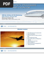 CAP Safety Program Regulation 160-1 | PDF | Risk | Civil Air Patrol
