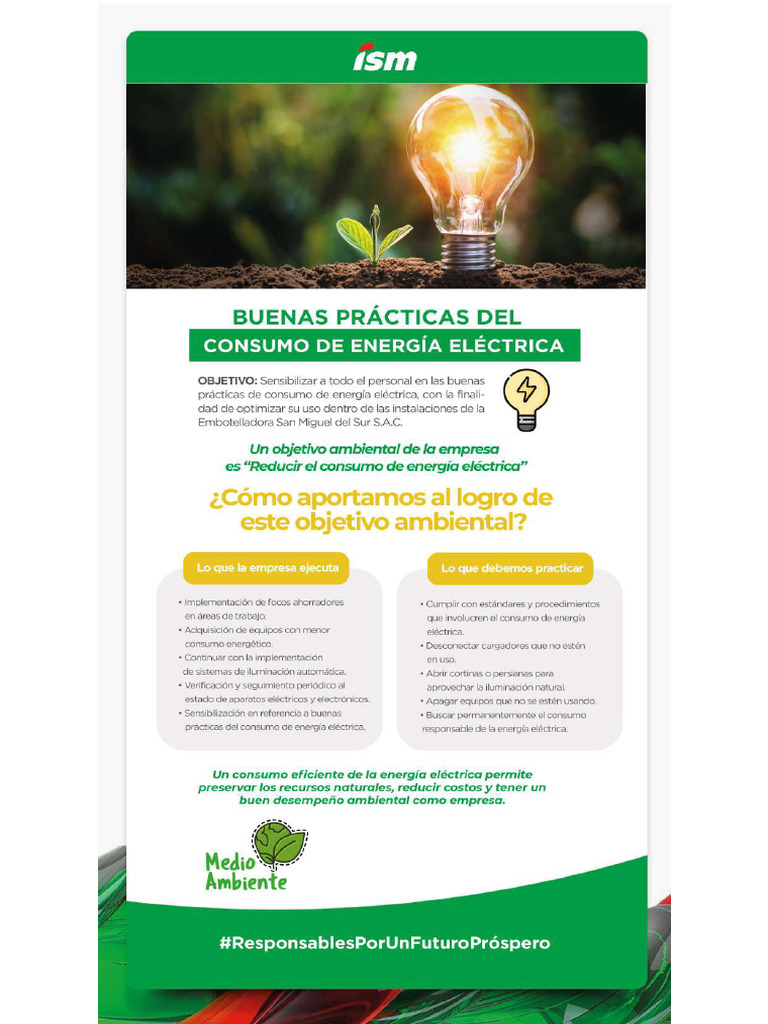 Sensibilización Sobre Buenas Prácticas de Ahorro de Energía Eléctrica | PDF