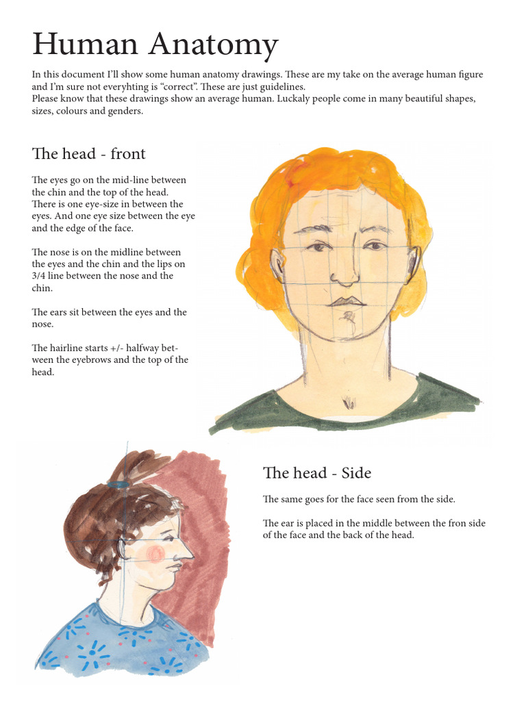 Human Face Anatomy Drawing Guide | PDF | Face | Foot