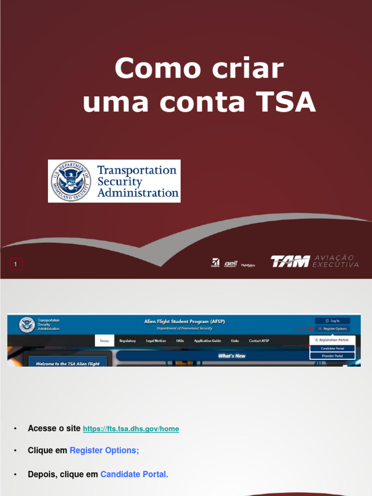 Guia para Criar Conta TSA Online | PDF | Senha