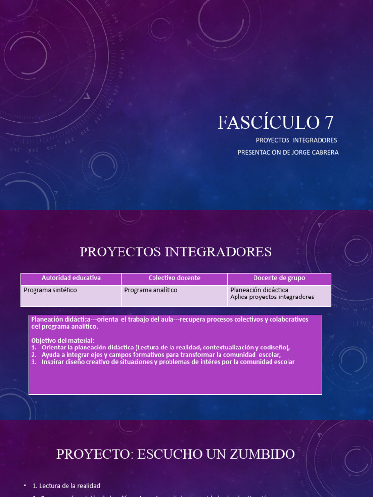 Tema 7 Proyectos Integradores | PDF