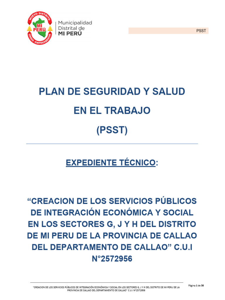 Plan de SST | PDF | Seguridad y salud ocupacional