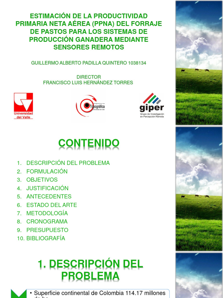 Estimación de PPNA en Forrajes Ganaderos | PDF | Informática