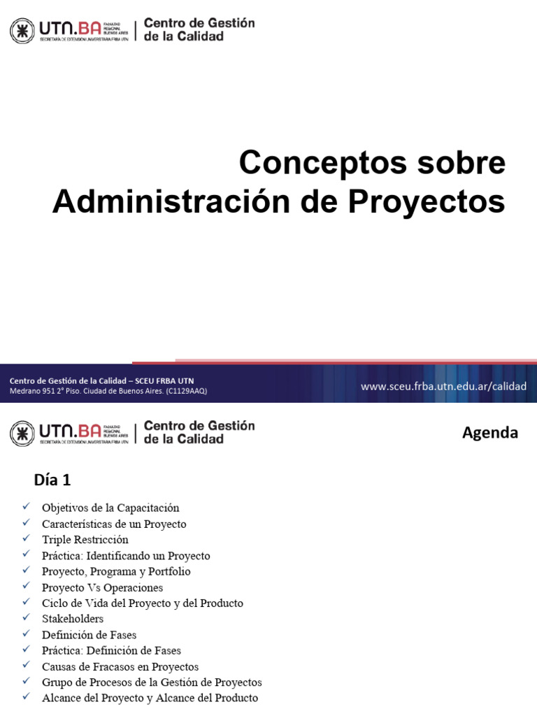 Conceptos Básicos de La Gestión de Proyectos Según El PMI | PDF ...