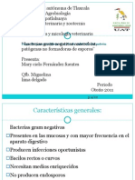 Bacterias Gram Negativas