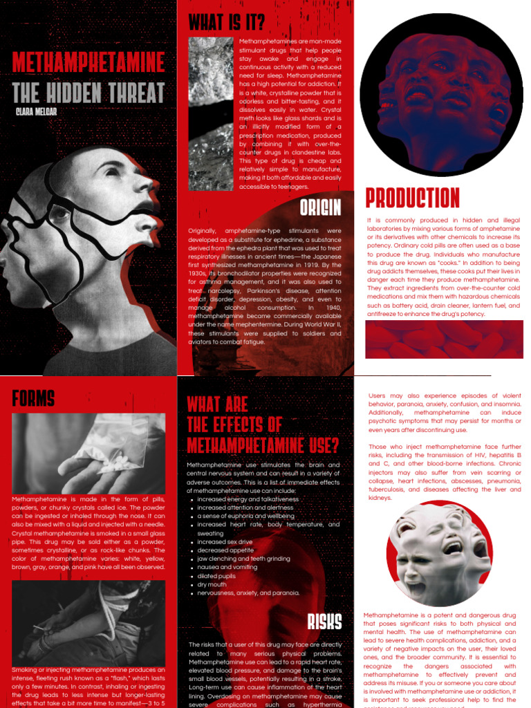 Understanding Methamphetamine Risks | PDF | Methamphetamine | Stimulant