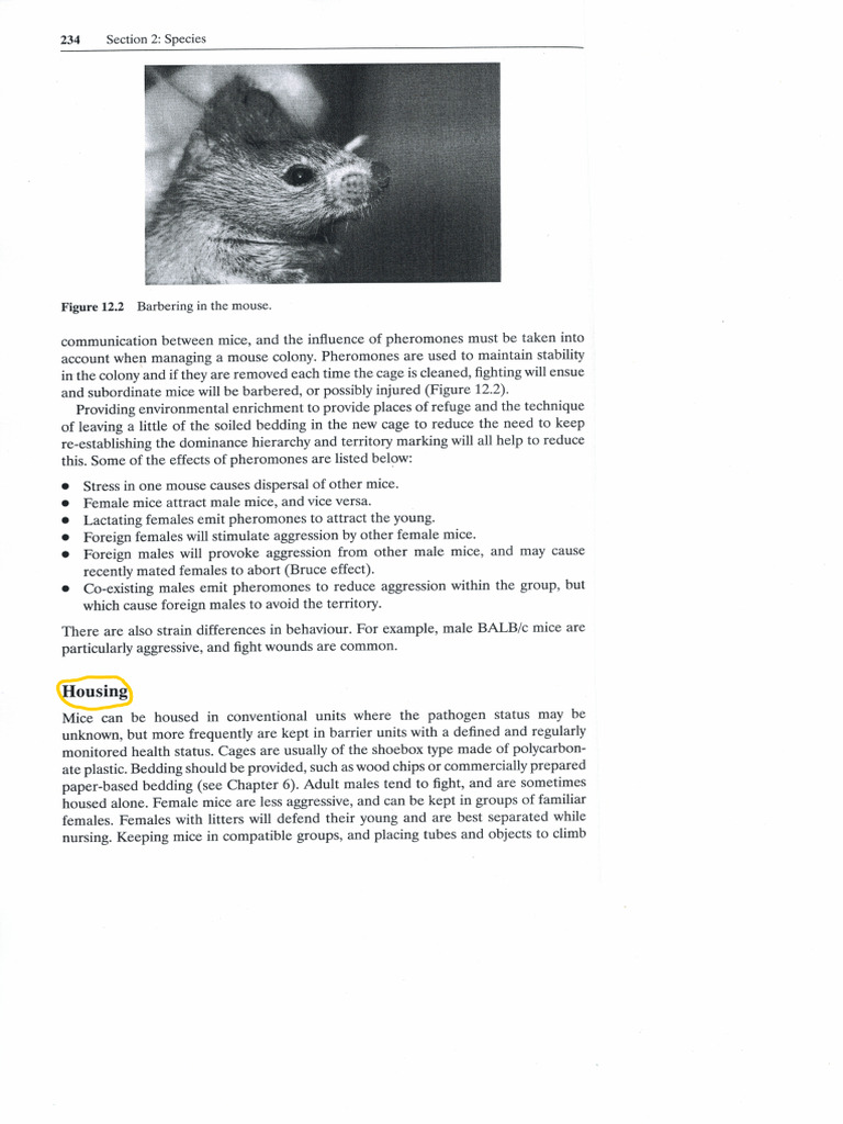 Small Laboratory Animals p2 | PDF