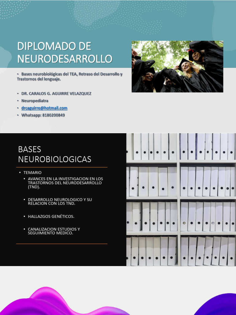 Módulo Bases Neurobiológicas Del TEA | PDF | Neurona | Sistema nervioso