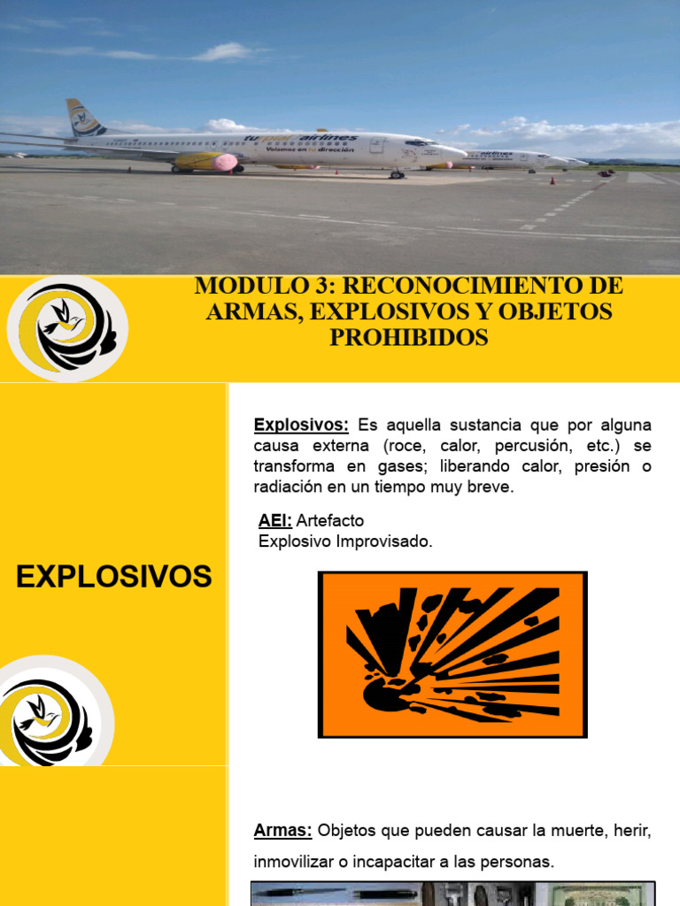 Modulo 03 Avsec Descargar gratis PDF Aeropuerto Armas de fuego