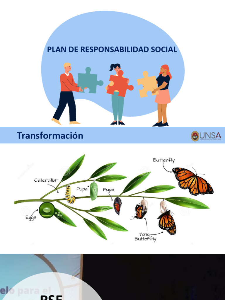 Tema 11 - Plan de Responsabilidad Social | PDF | Responsabilidad social ...