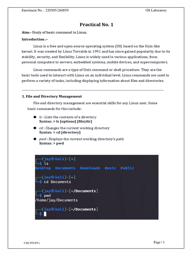 Jayo S Final | PDF | Operating System | Linux