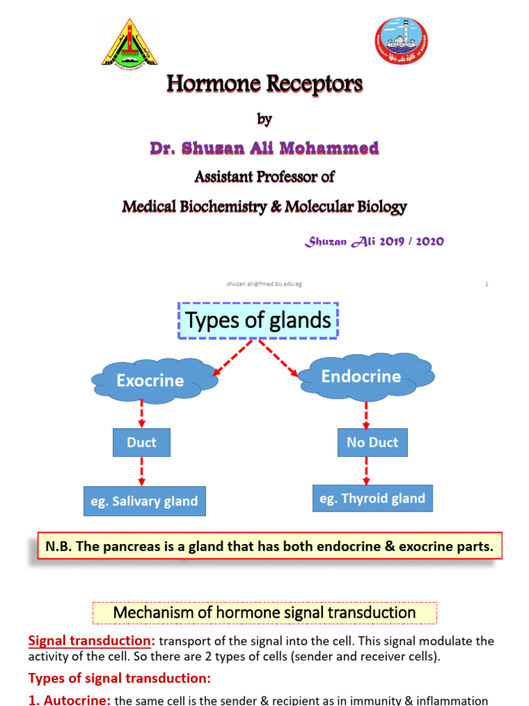Hormone Receptors | PDF | Endocrine System | Hormone