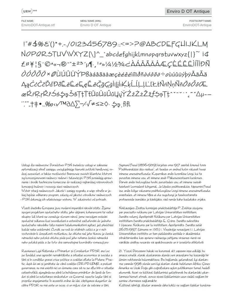 Unique Document Analysis and Insights | PDF