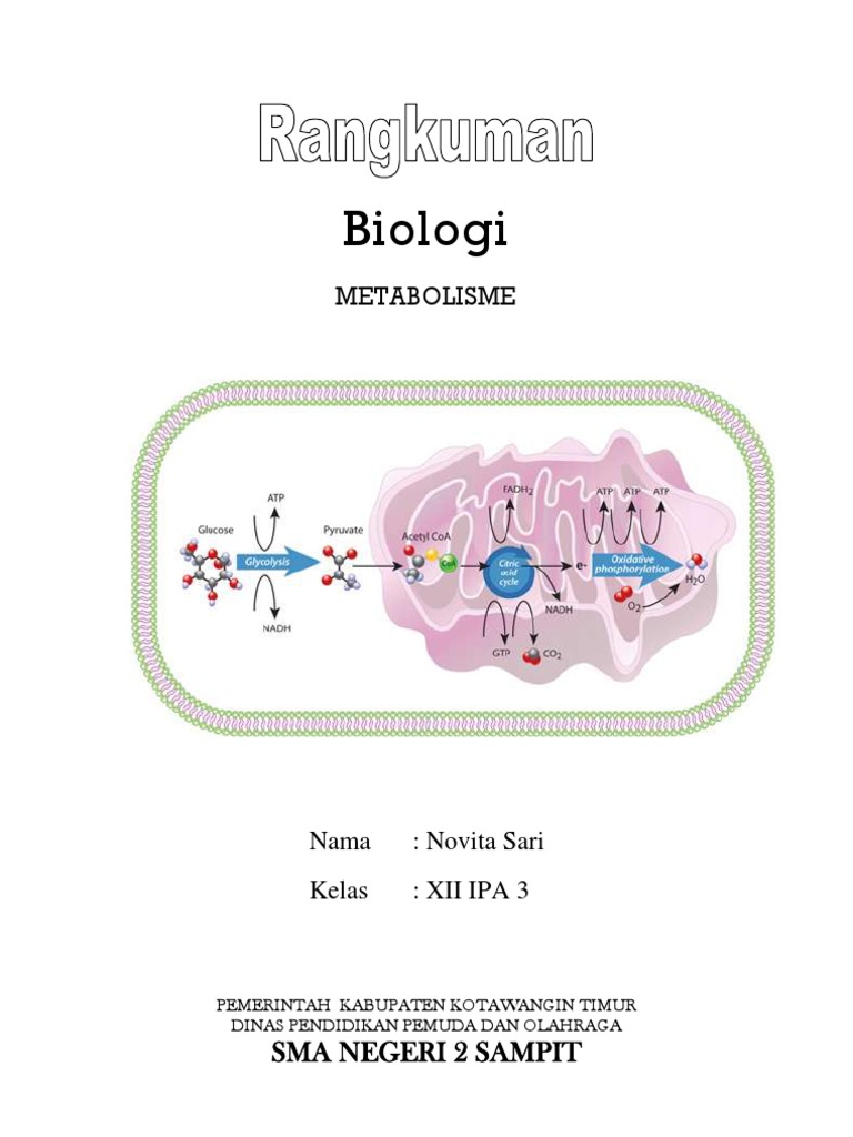 Bab II Metabolisme