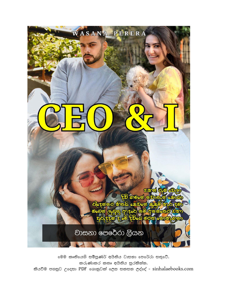 Ceo & I | PDF