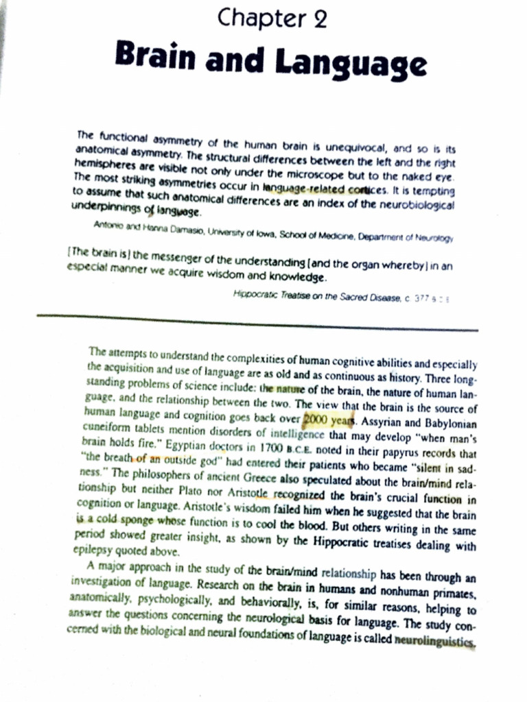 Lesson 2B Your Brain and Language | PDF | Neuroscience | Linguistics