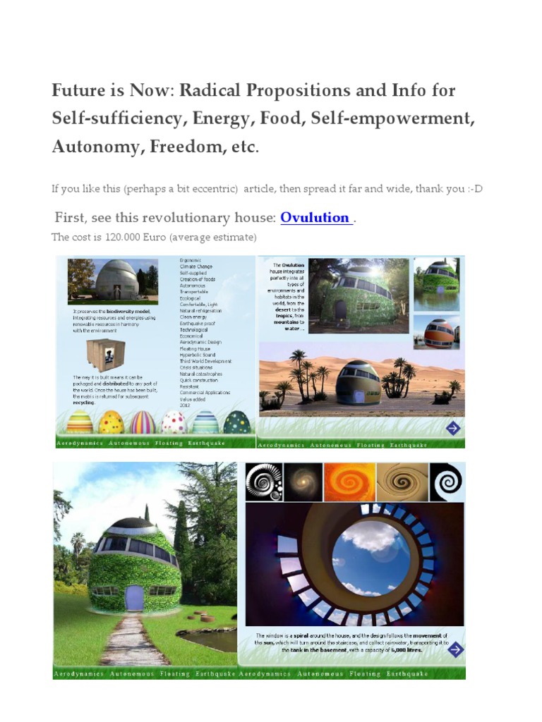 Future Is Now - Radical Propositions and Info For Self-Sufficiency | PDF