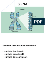Genetica (Curs 4 Si 5)
