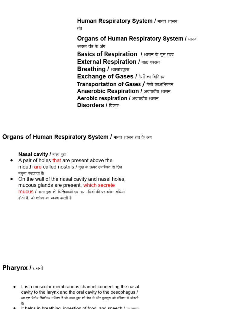 Respiratory | PDF