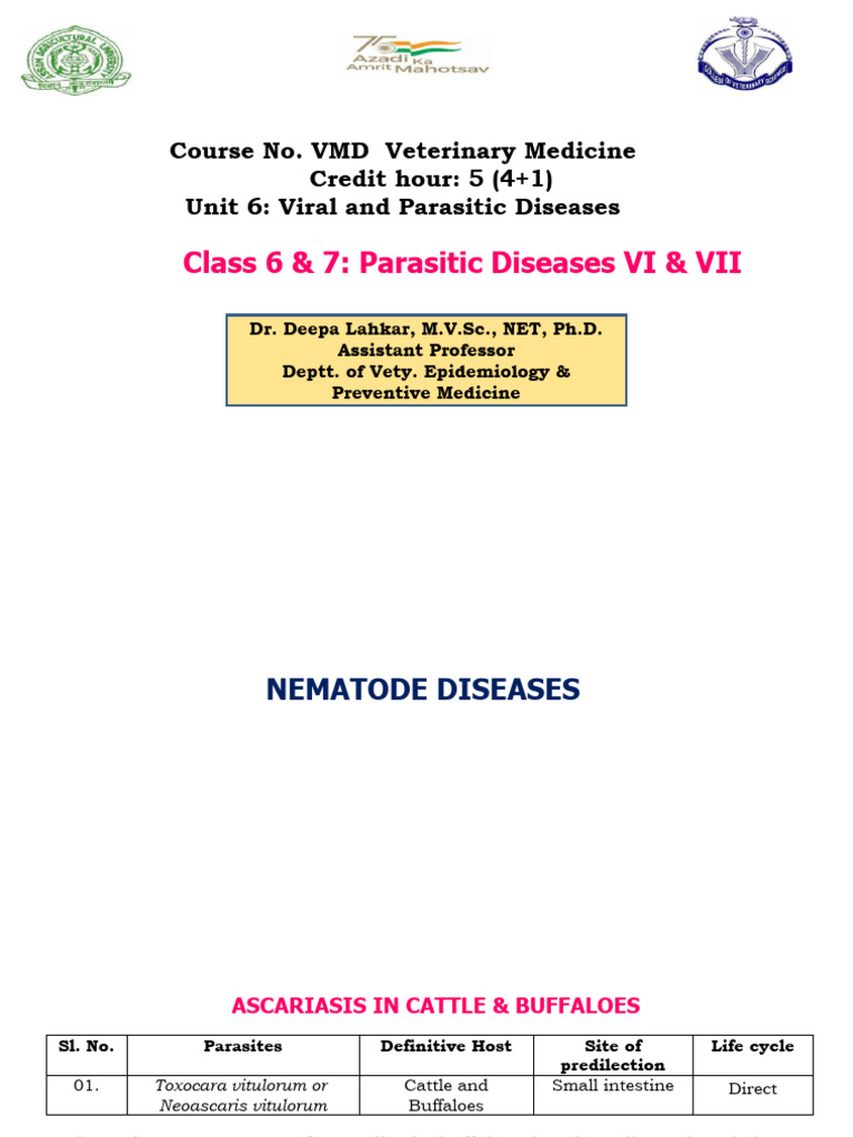 VMD Unit 6 Class 06 & 7 (18.04.2024 & 22.04.2024) | PDF | Medical ...