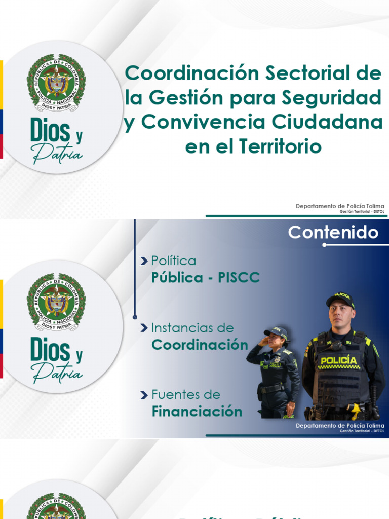 Política Pública | PDF | Presupuesto | Policía