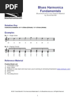 Blues Harmonica Fundamentals