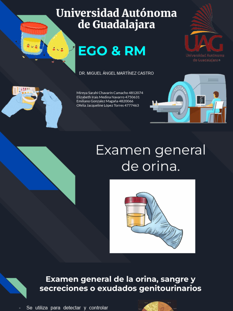 Examen General de Orina y RM | PDF | Imagen de resonancia magnética ...