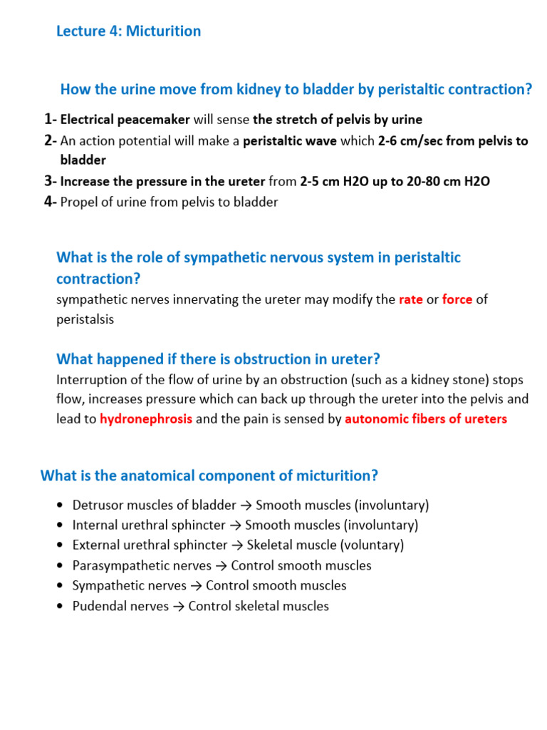 Micturition and Urinary Physiology | PDF | Urination | Urinary Incontinence