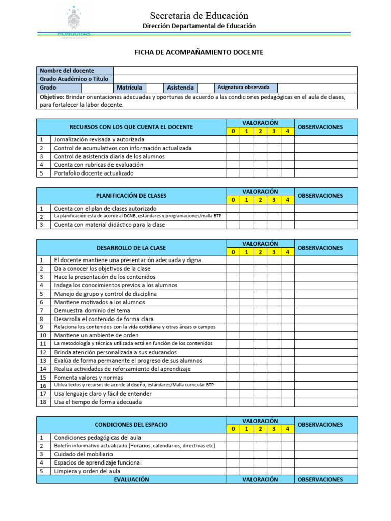 Ficha de Acompañamiento Docente 2024 | PDF | Maestros | Evaluación