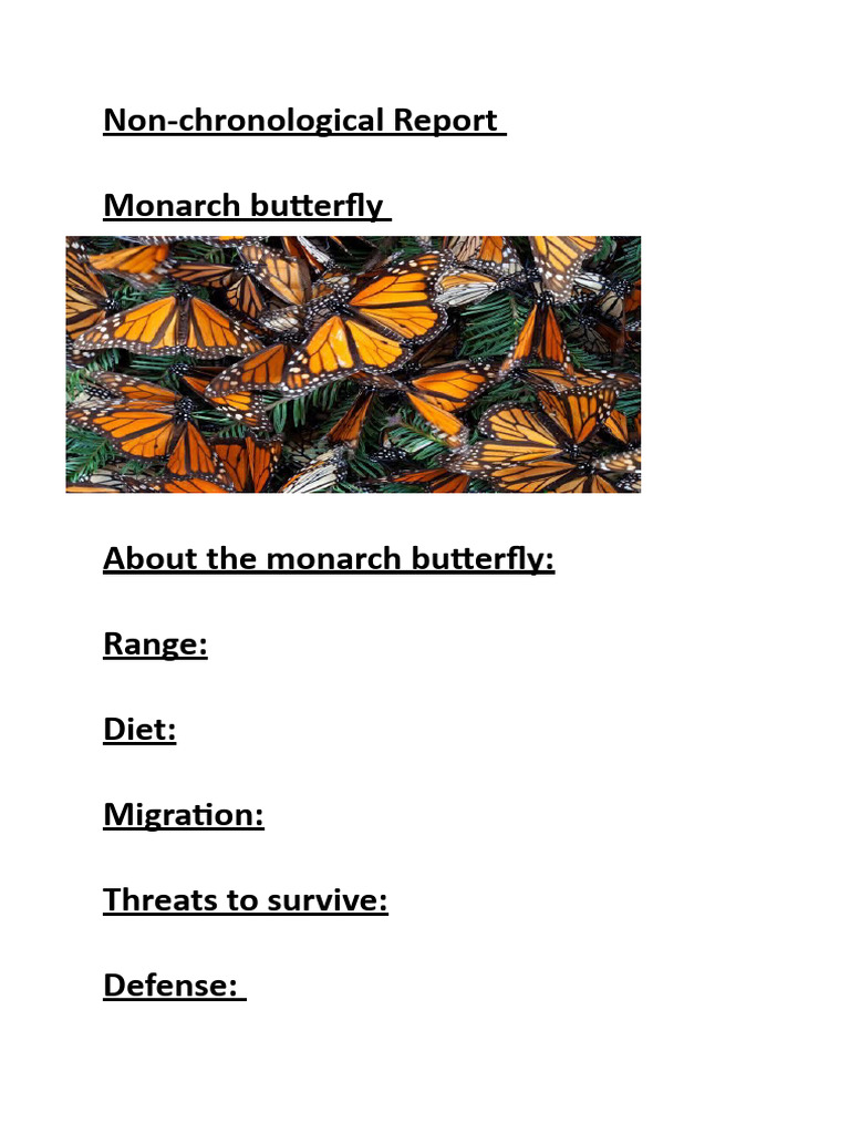 Monarch butterflies | PDF