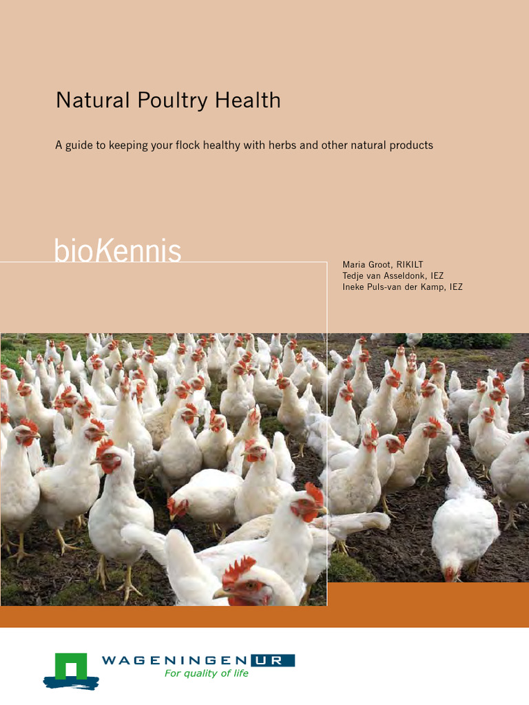 Natural Poultry Health Guide | PDF | Antimicrobial Resistance | Infection