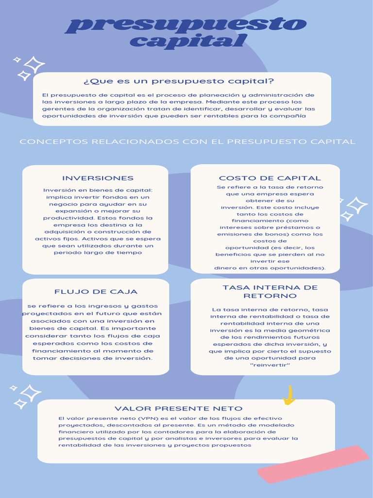 Guía sobre Presupuesto de Capital y VPN | PDF | Presupuesto | Inversiones