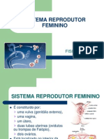 Sistema Reprodutor Feminino