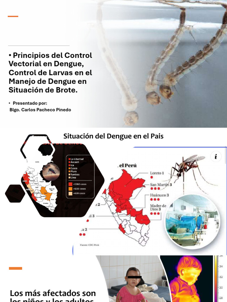 Control Vectorial DENGUE - Compressed | PDF | Mosquito | Insectos