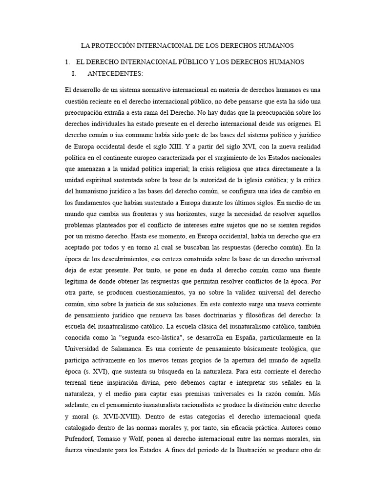 Proteccion Internacional de DD - HH | PDF | Derechos humanos | Tratado