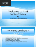 Welcome To AMS: SAP BASIS Training by