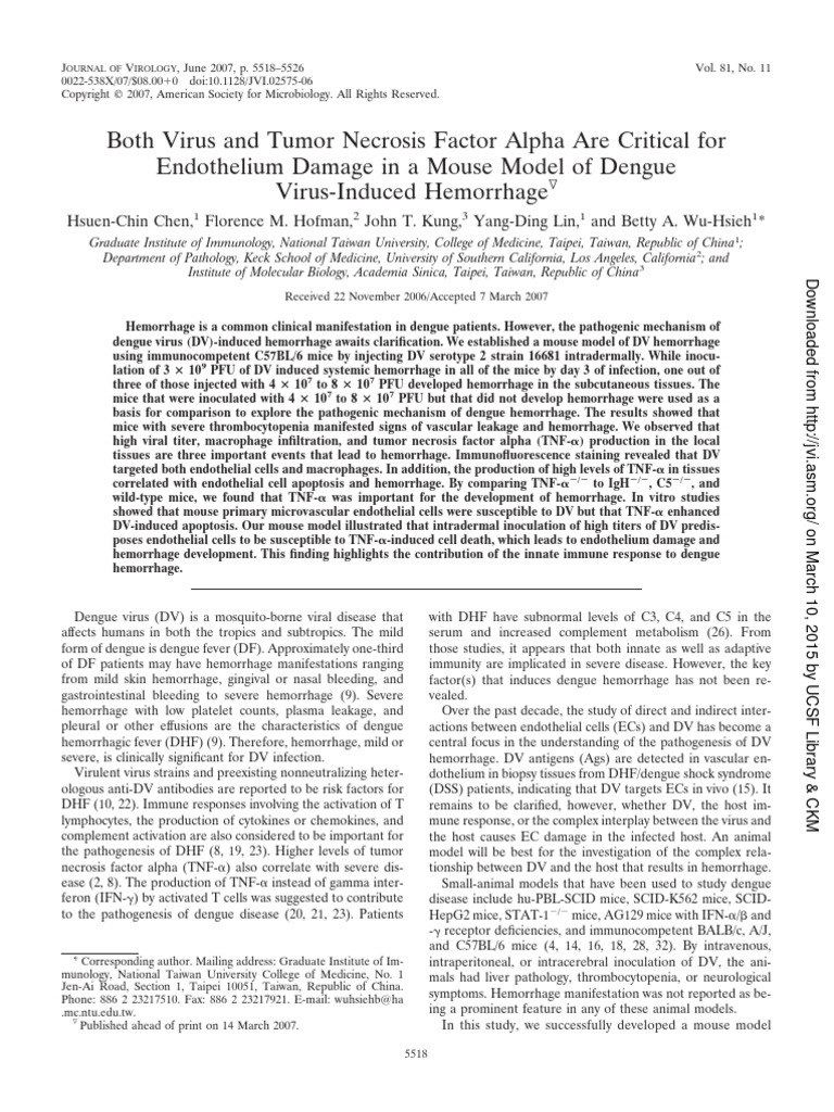 Both Virus and Tumor Necrosis Factor Alpha Are Critical For Endothelium ...