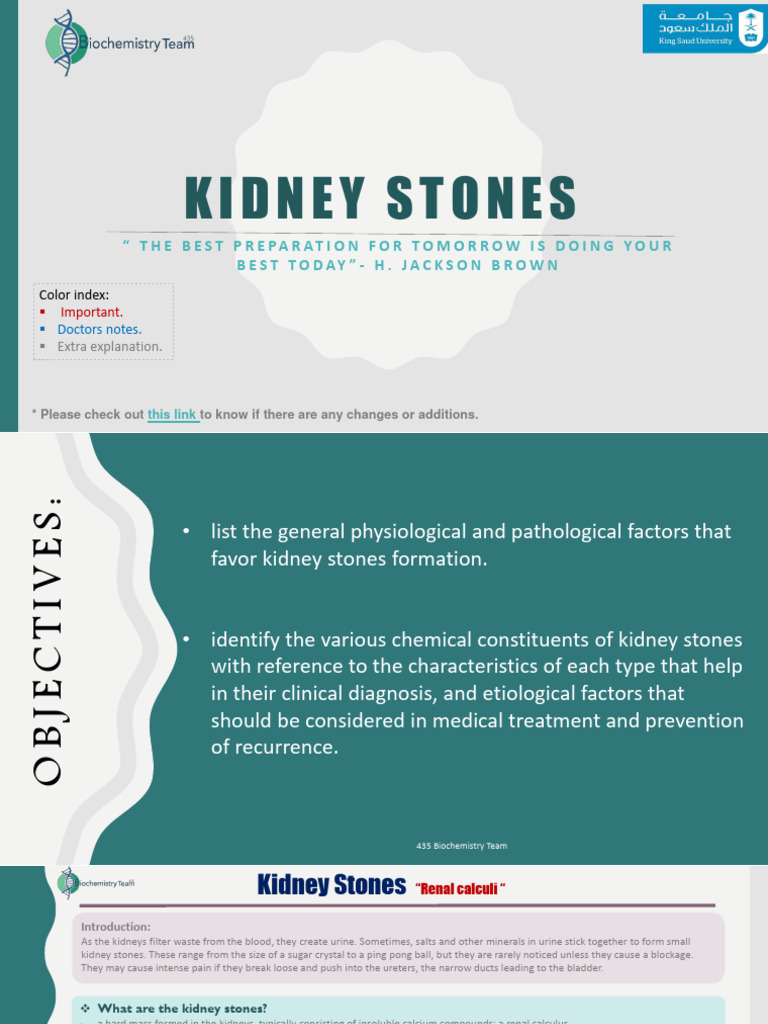 3-Kidney Stones (Updated) . | PDF | Kidney | Urinary System