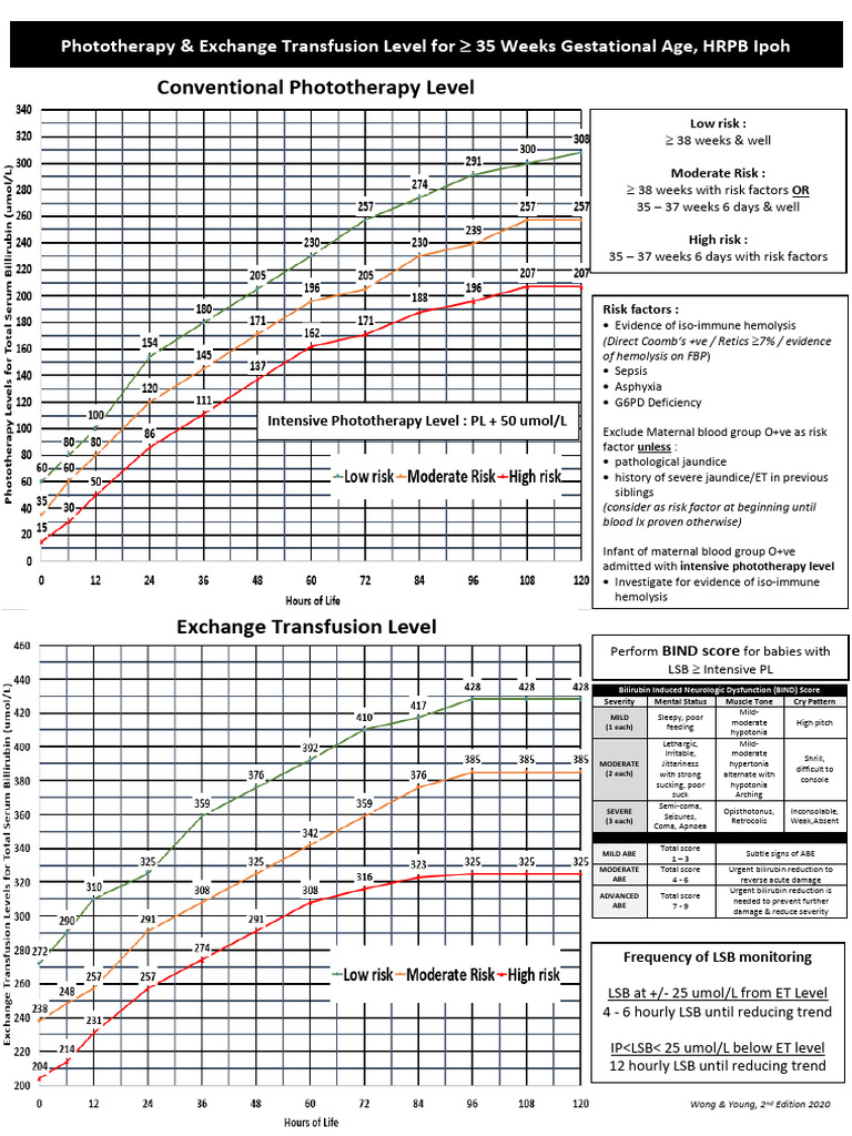 NNJ Risk Levels and BIND Scoring Guide | PDF | Human Diseases And ...