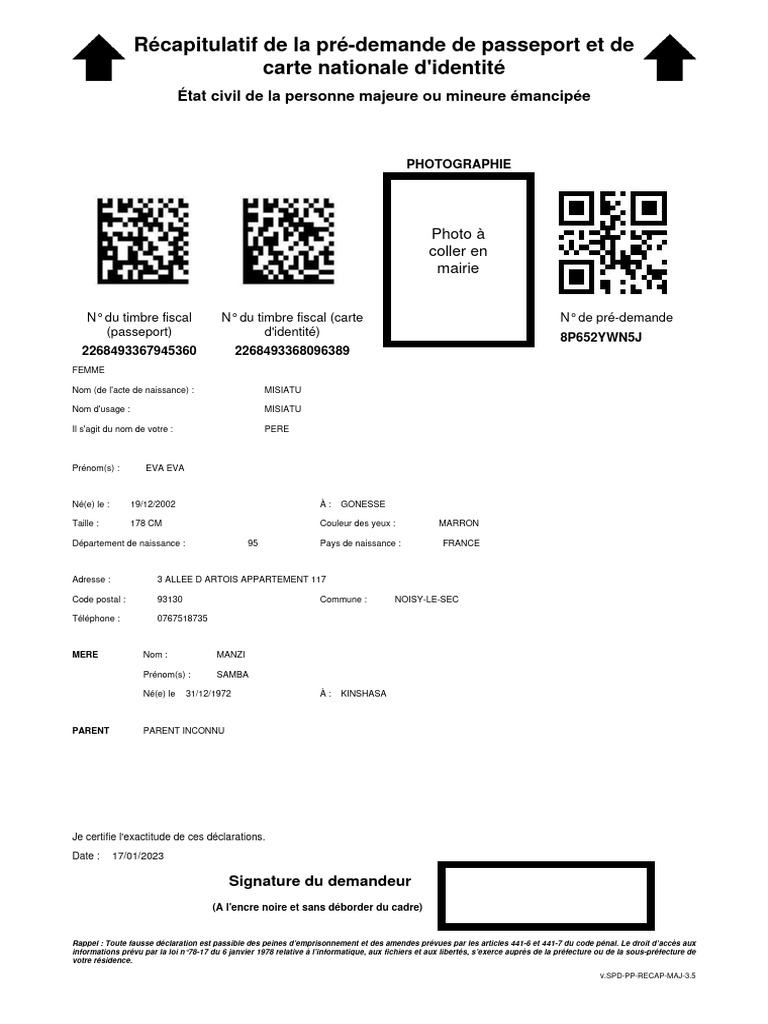 Pré-demande de passeport et CNI | PDF | Gouvernement | Gouvernement et ...