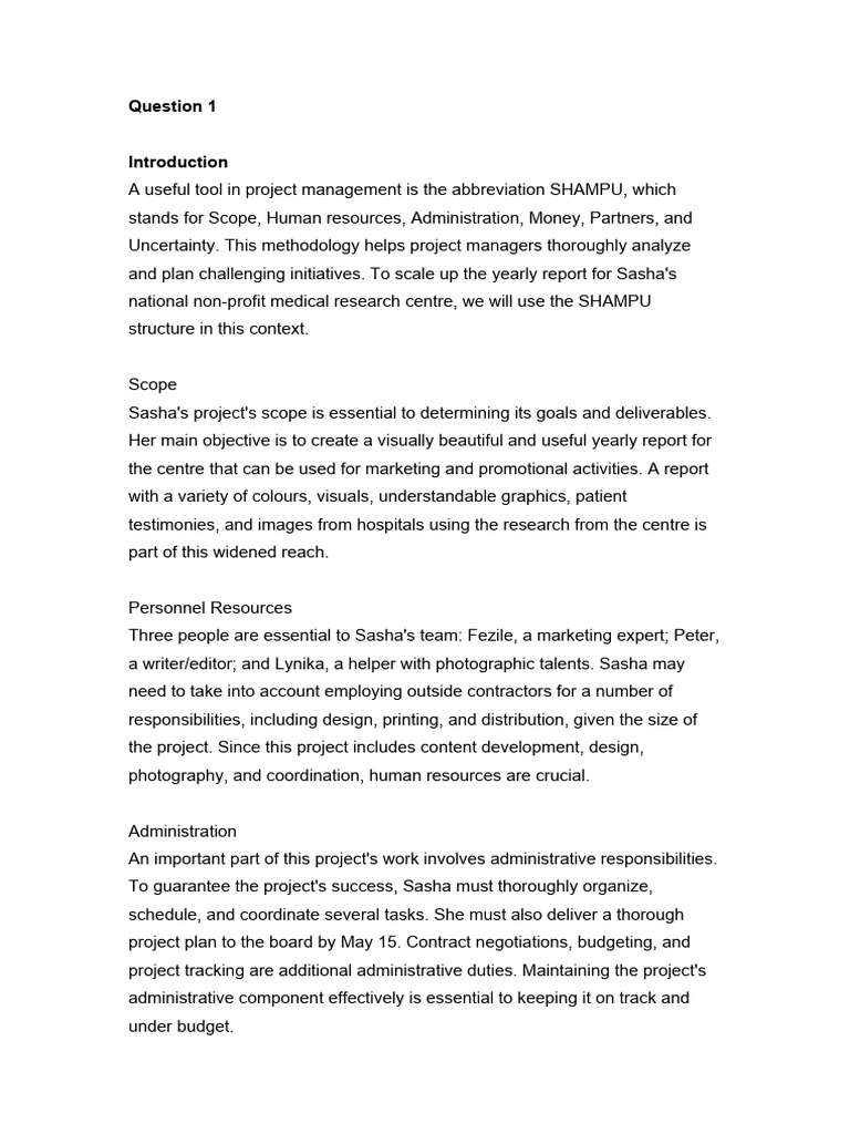 Project Risk Management Pdf Project Management Business