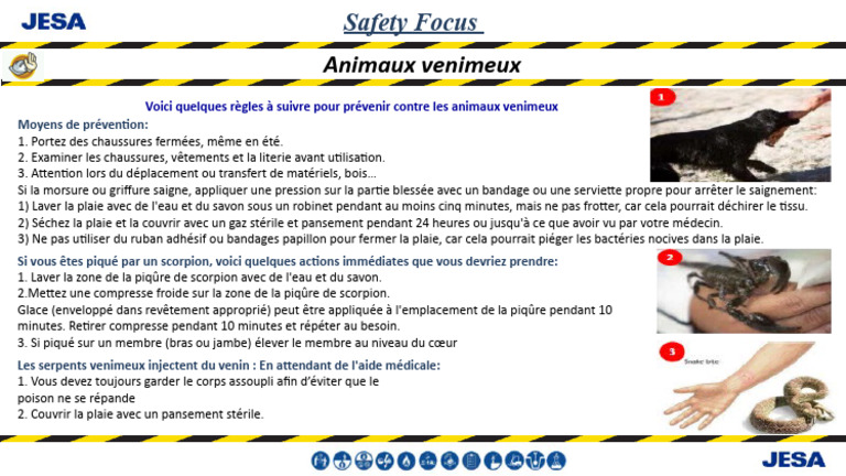 safety-focus-animaux-venimeux-pdf